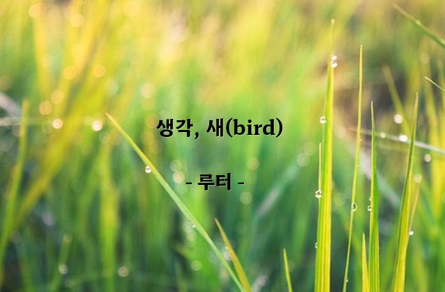 생각, 새(bird) – 루터