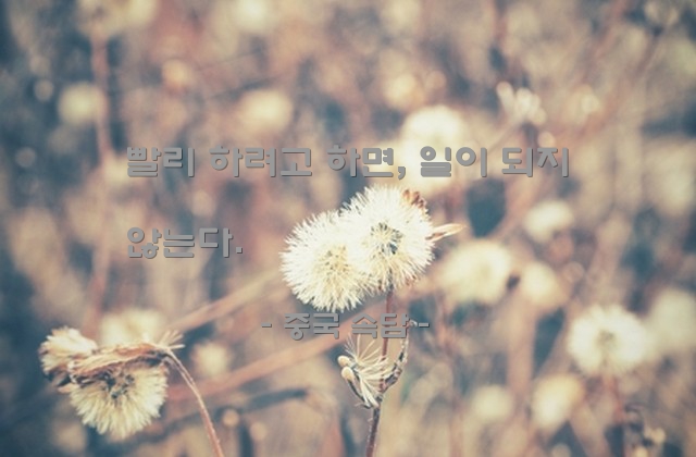 서두름, 인생살이 – 중국 속담