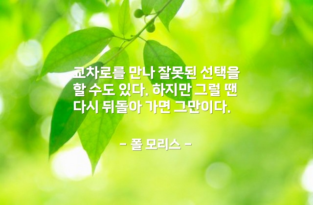 선택, 실수 – 폴 모리스