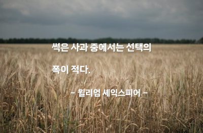 선택, 품질 – 윌리엄 셰익스피어