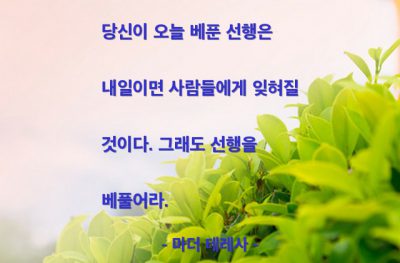 선행(good) – 마더 테레사