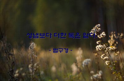 성냄, 화(Anger) – 법구경