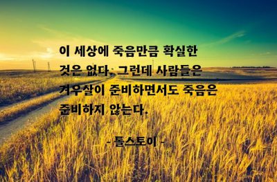 세상, 죽음, 준비 – 톨스토이