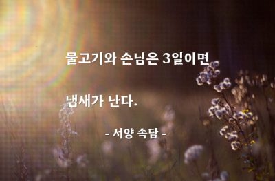 손님, 처세, 물고기 – 서양 속담