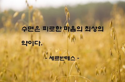 수면, 잠(sleep), 피로 – 세르반테스