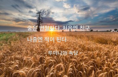 술(Wine), 음주 – 루마니아 속담