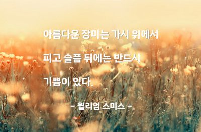 슬픔, 기쁨, 장미 – 윌리엄 스미스