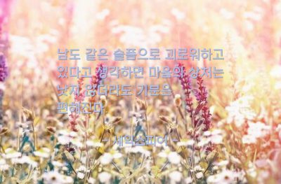 슬픔, 마음, 동질감 – 셰익스피어