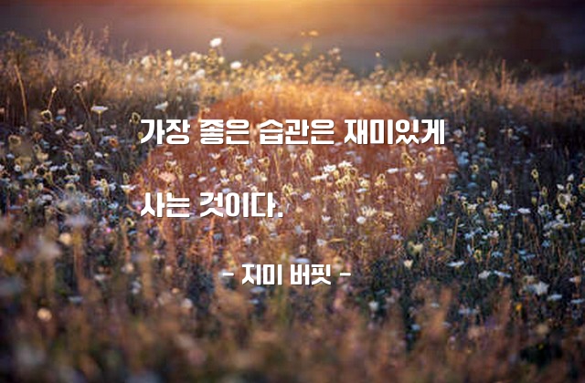 습관, 재미, 인생살이 – 지미 버핏