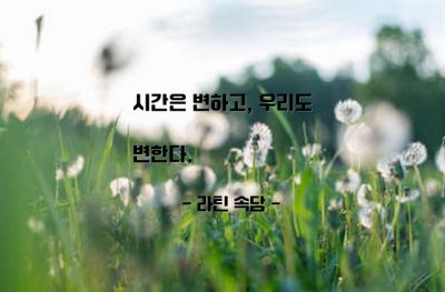 시간, 인생 – 라틴 속담