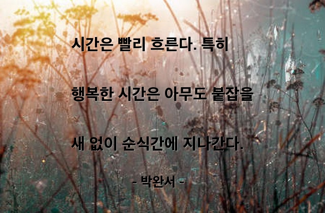 시간, 행복 – 박완서