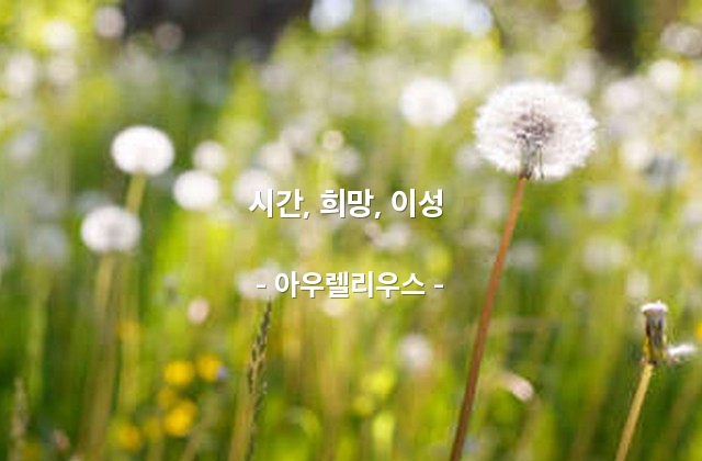 시간, 희망, 이성 – 아우렐리우스