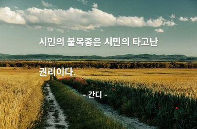 시민, 권리 – 간디