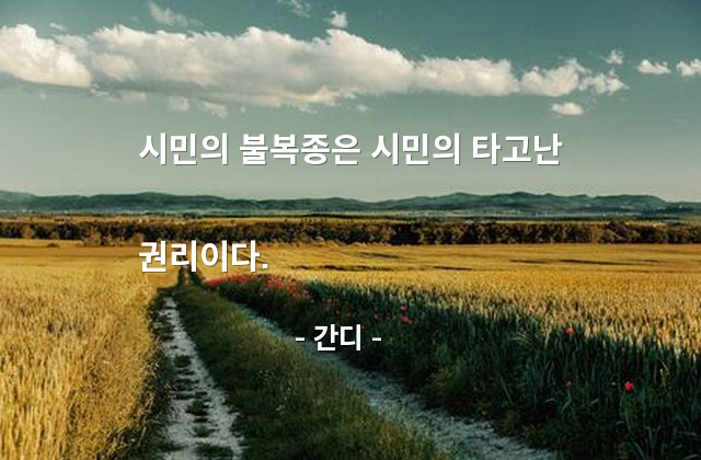 시민, 권리 – 간디