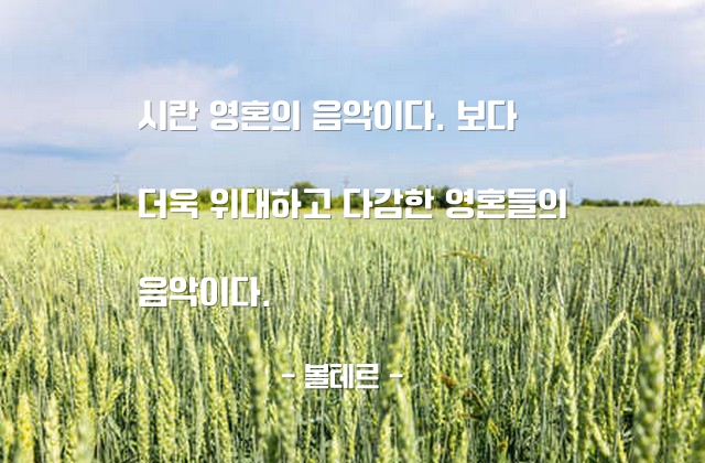 시(poetry), 영혼 – 볼테르