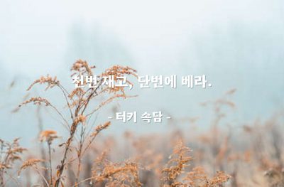 신중함, 행동 – 터키 속담