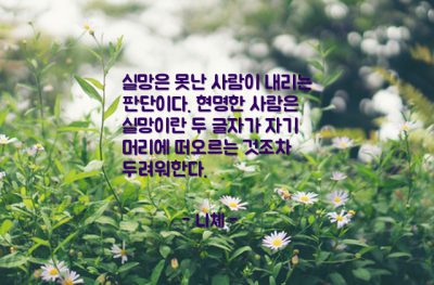 실망, 사람 – 니체