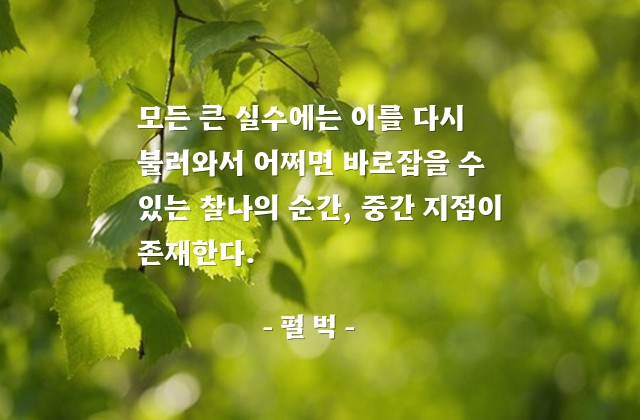 실수 – 펄 벅