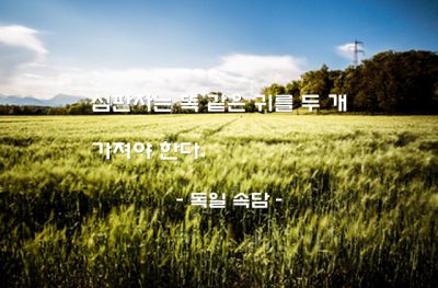 심판자 – 독일 속담