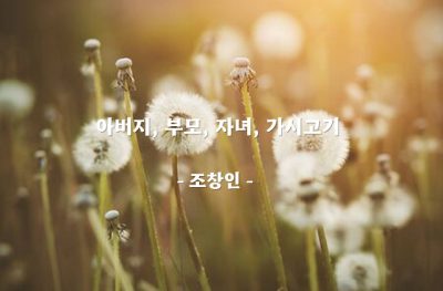 아버지, 부모, 자녀, 가시고기 – 조창인