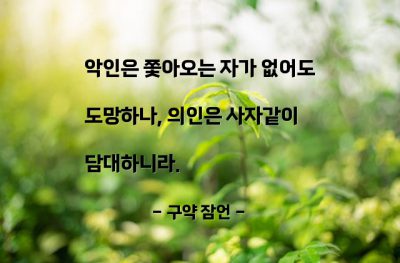 악인, 의인 – 구약 잠언