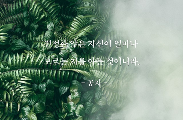 앎, 지식 – 공자