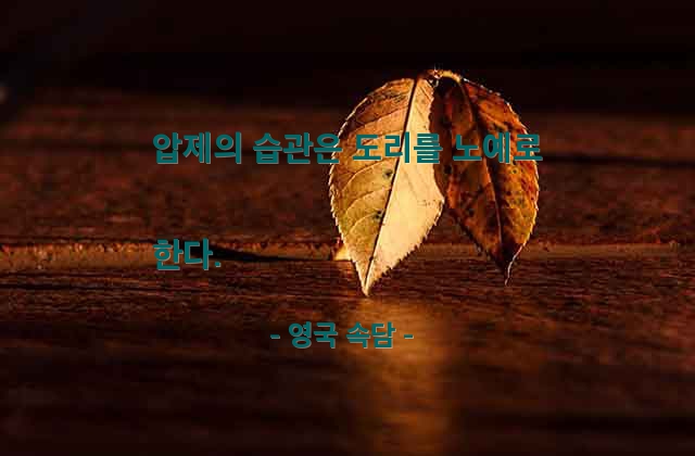 압제, 습관, 도리 – 영국 속담