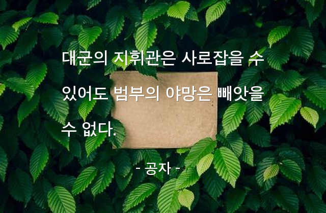 야망, 범부 – 공자