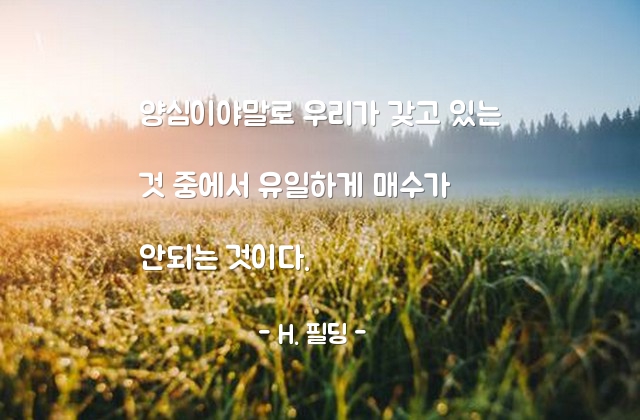 양심, 매수 – H. 필딩