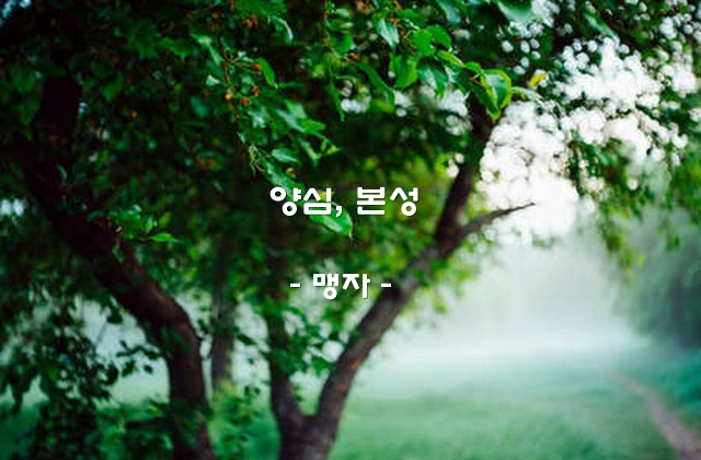 양심, 본성 – 맹자