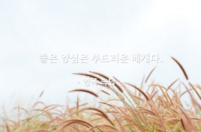 양심 – 영국 속담