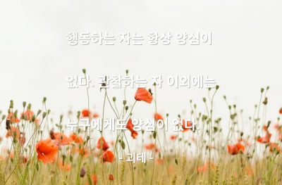 양심, 행동, 관찰 – 괴테