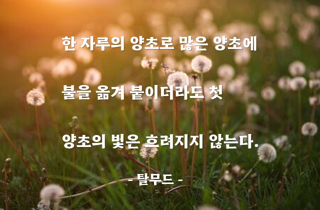 양초, 빛(light) – 탈무드