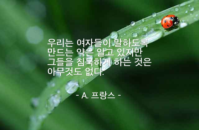 여자, 말(wordds), 침묵 – A. 프랑스