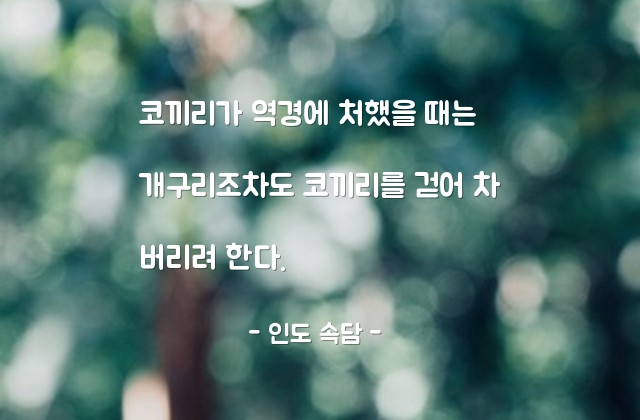 역경, 어려움, 인간관계 – 인도 속담