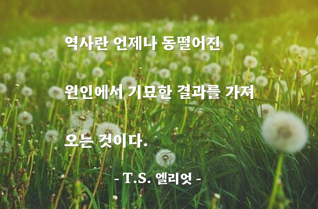 역사, 원인, 결과 – T.S. 엘리엇