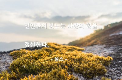 연인, 분노, 사랑 – 실스