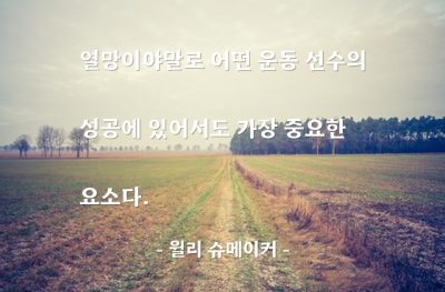 열망, 운동선수, 성공 – 윌리 슈메이커