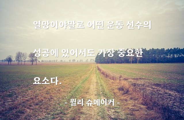 열망, 운동선수, 성공 – 윌리 슈메이커