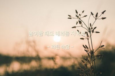 예의, 스포츠 – 라틴 속담