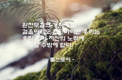 완전무결, 노력 – 톨스토이