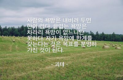 욕망 – 괴테