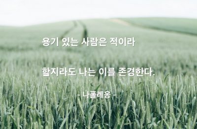 용기, 존경, 적(enemy) – 나폴레옹