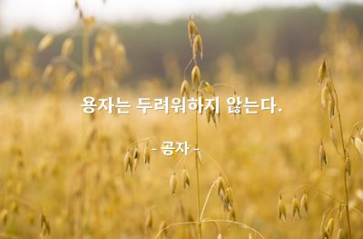 용자(勇者) – 공자