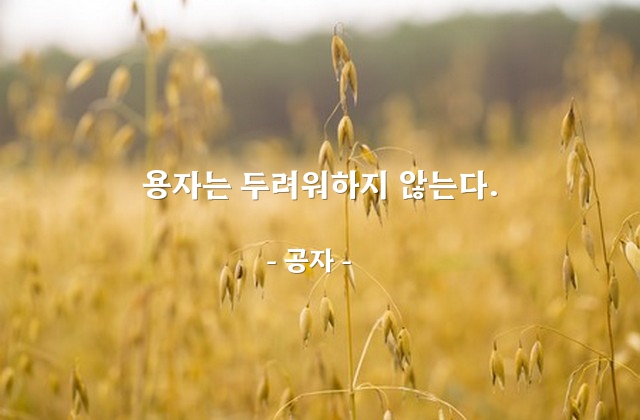 용자(勇者) – 공자