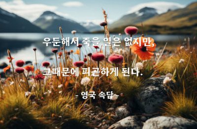 우둔함, 피곤 – 영국 속담