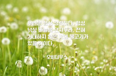 우연, 기회, 행운 – 오비디우스