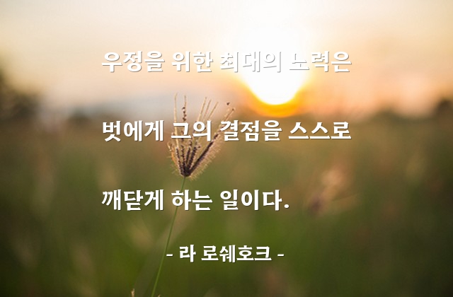 우정, 친구 – 라 로쉐호크