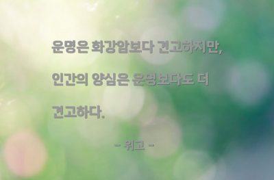 운명, 양심 – 위고