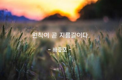 원칙 – 배중호